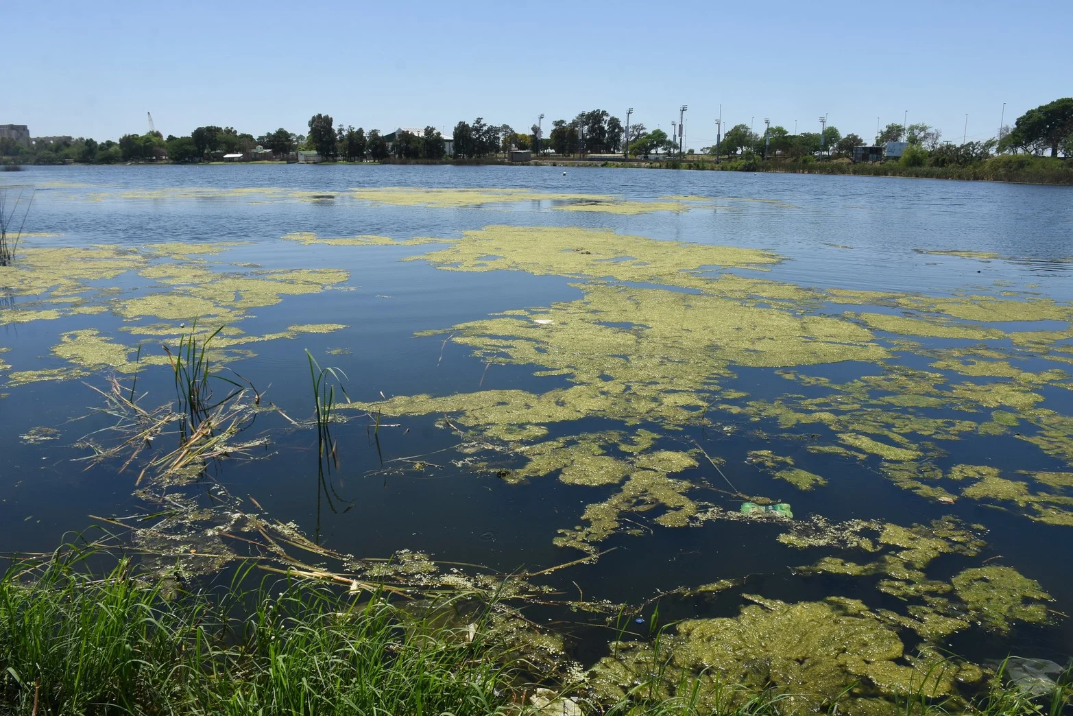 Publicacion de prueba